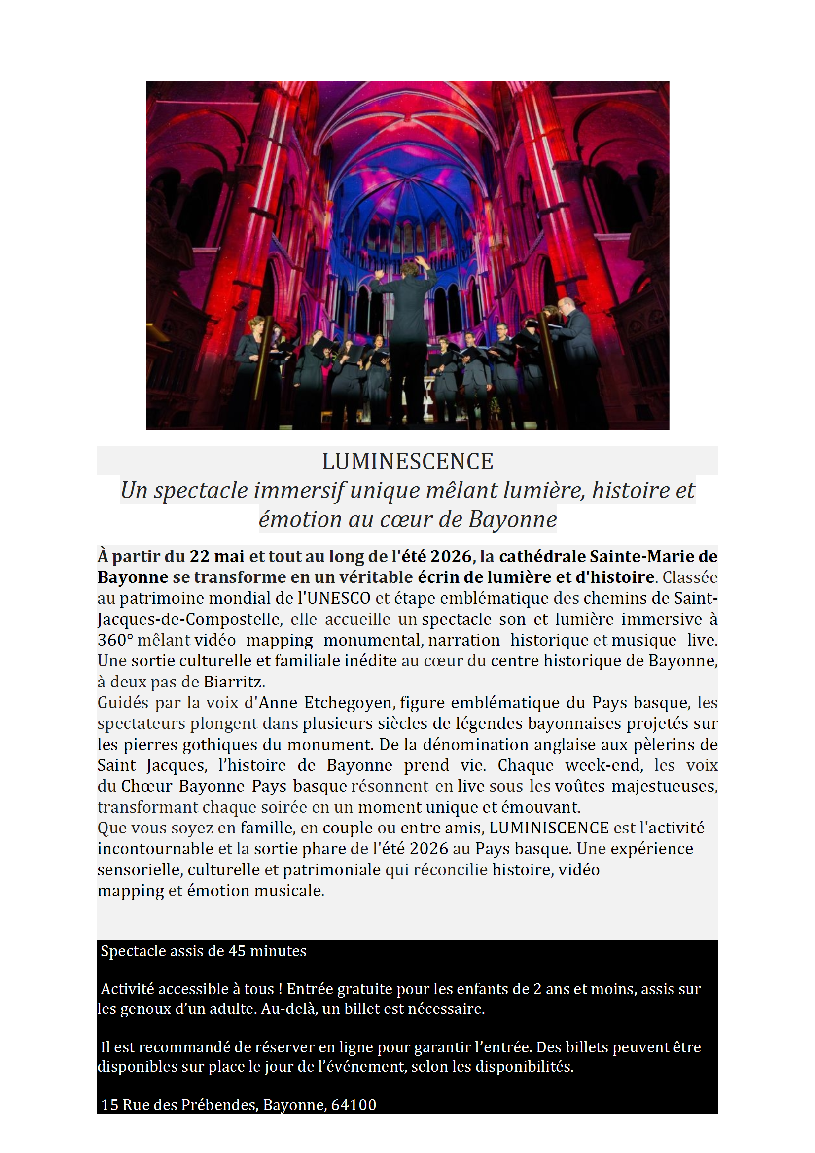 SPECTACLE SON ET LUMIERE LUMINESCENCE A BAYONNE